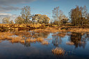 BUITEN BEELD Foto: 403985