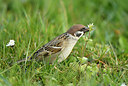 BUITEN BEELD Foto: 404033