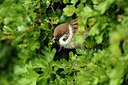 BUITEN BEELD Foto: 404037