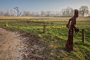 BUITEN BEELD Foto: 404063