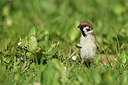 BUITEN BEELD Foto: 404116