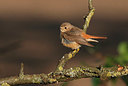 BUITEN BEELD Foto: 404178