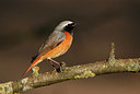 BUITEN BEELD Foto: 404179