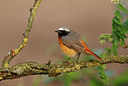 BUITEN BEELD Foto: 404181