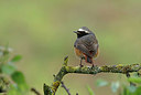 BUITEN BEELD Foto: 404202