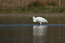 BUITEN BEELD Foto: 404237