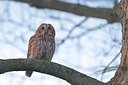 BUITEN BEELD Foto: 404291