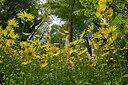 BUITEN BEELD Foto: 404344