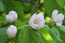 BUITEN BEELD Foto: 404347