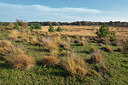 BUITEN BEELD Foto: 404368