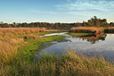 BUITEN BEELD Foto: 404371