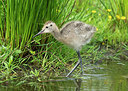 BUITEN BEELD Foto: 404423