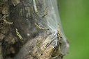 BUITEN BEELD Foto: 404611