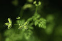 BUITEN BEELD Foto: 404641