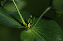 BUITEN BEELD Foto: 404642