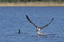 BUITEN BEELD Foto: 404664