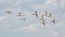 BUITEN BEELD Foto: 404693