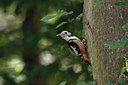 BUITEN BEELD Foto: 404702