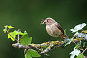 BUITEN BEELD Foto: 404715