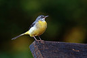 BUITEN BEELD Foto: 404721