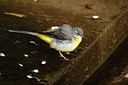 BUITEN BEELD Foto: 404730