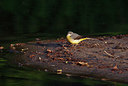 BUITEN BEELD Foto: 404741