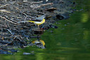 BUITEN BEELD Foto: 404742