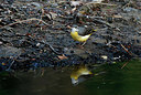 BUITEN BEELD Foto: 404743