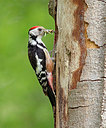 BUITEN BEELD Foto: 404758