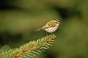 BUITEN BEELD Foto: 404774
