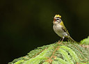 BUITEN BEELD Foto: 404802
