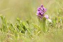 BUITEN BEELD Foto: 404900