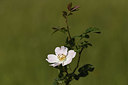 BUITEN BEELD Foto: 405075