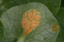 BUITEN BEELD Foto: 405123