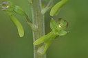 BUITEN BEELD Foto: 405128