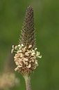 BUITEN BEELD Foto: 405132