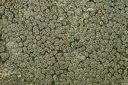 BUITEN BEELD Foto: 405154