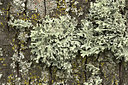 BUITEN BEELD Foto: 405179