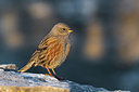 BUITEN BEELD Foto: 405205