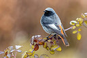 BUITEN BEELD Foto: 405229