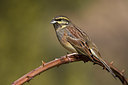 BUITEN BEELD Foto: 405295
