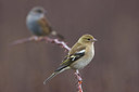 BUITEN BEELD Foto: 405310