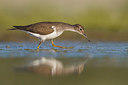 BUITEN BEELD Foto: 405348