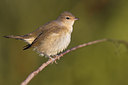 BUITEN BEELD Foto: 405465