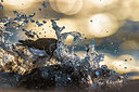 BUITEN BEELD Foto: 405573