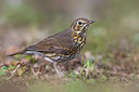 BUITEN BEELD Foto: 405610