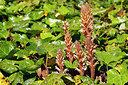 BUITEN BEELD Foto: 405745