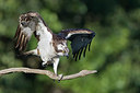 BUITEN BEELD Foto: 405759