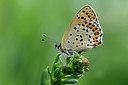 BUITEN BEELD Foto: 405805