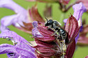 BUITEN BEELD Foto: 405808